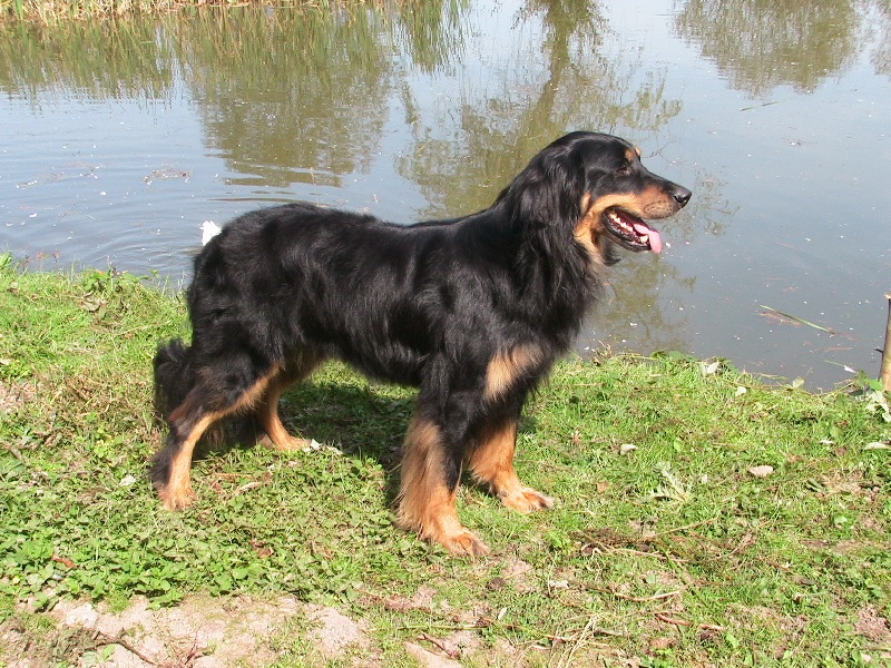 Ucker Des trois petits diables